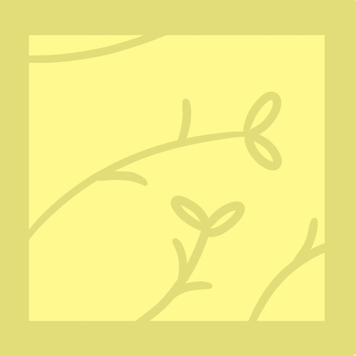 yellow album